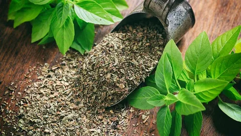 نعنا خشک خوش‌ عطر تهیه‌ شده از برگ‌ های تازه با عطر طبیعی